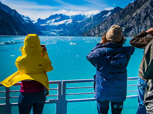 Glacier Bay 1621